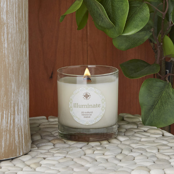 Root Candles Illuminate Juniper Rosewood Scented Jar Candle Wayfair